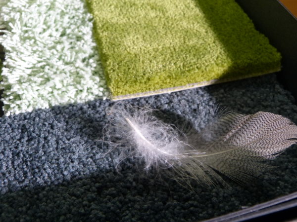 How color can be a powerful design tool to influence our daily lives 