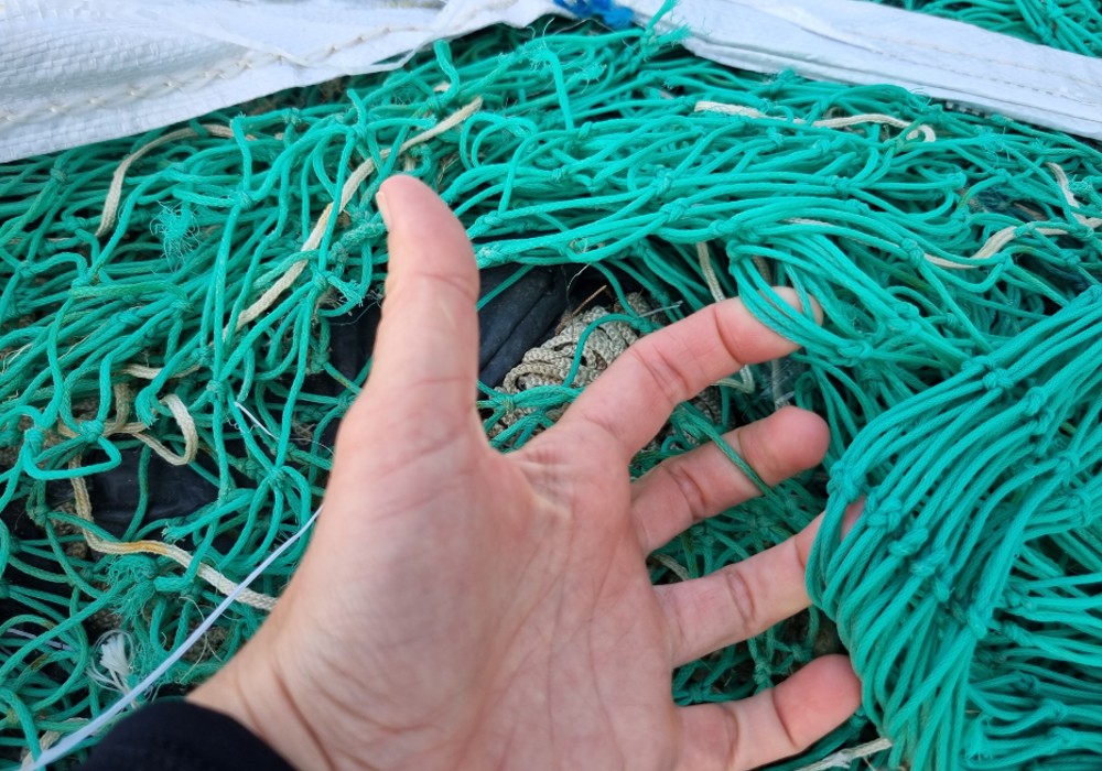 Beneath the waves of plastic pollution: an interview with the Healthy Seas Foundation 