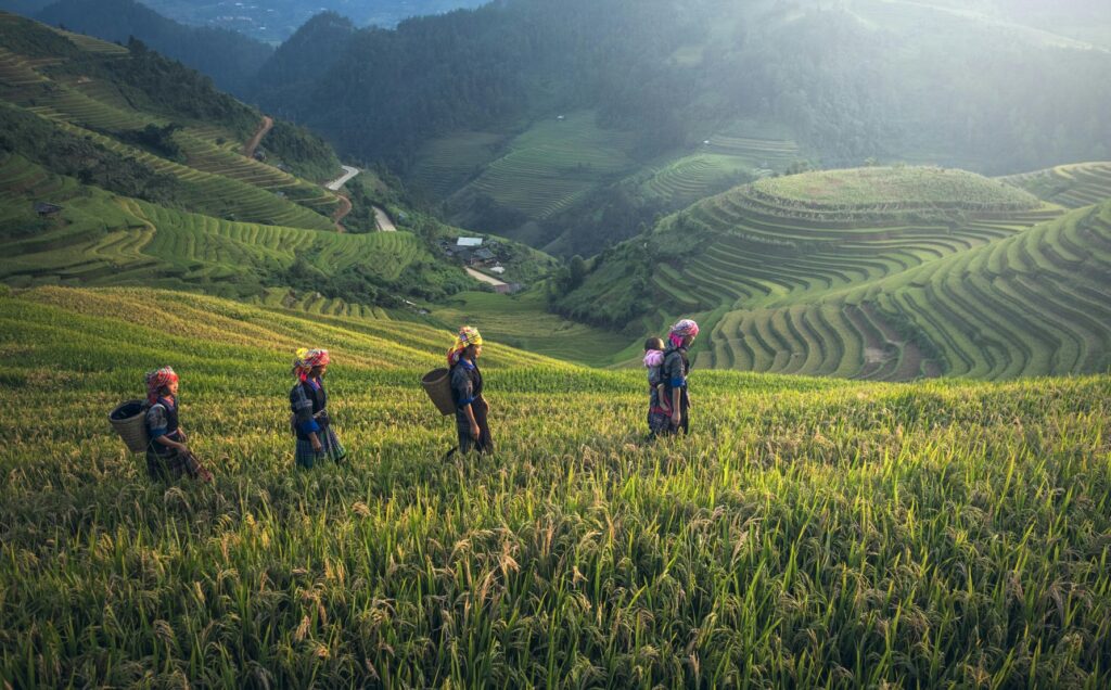 Why Biodiversity Matters for Businesses: Risks and Opportunities Explained 