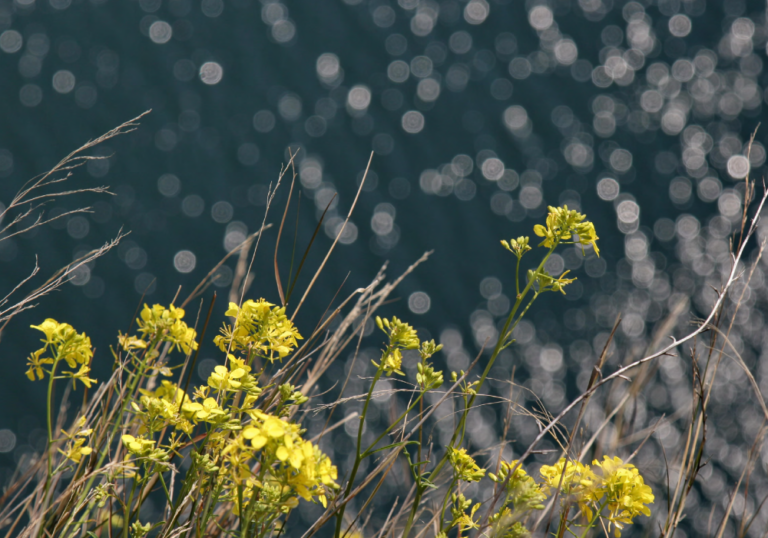 Aquafil sustainability report 2016