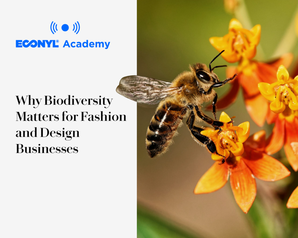 Why Biodiversity Matters for Fashion and Design Businesses 