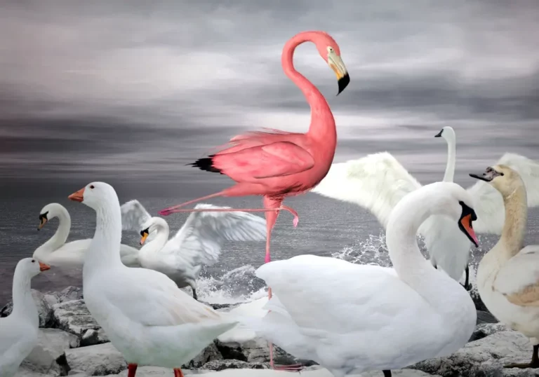 Storytelling for Sustainability